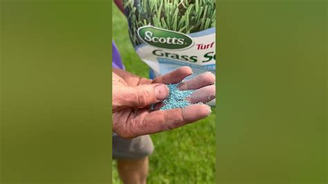 Scotts Turf Builder Kentucky Blue Grass Seed Youtube