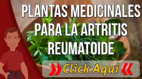 Plantas Medicinales Para La Artritis Reumatoide Artritis Reumatoide