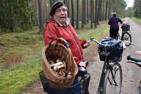 Ze Sławna do Korzybia wyprawa na grzyby rowerem ZDJĘCIA Zapraszamy na