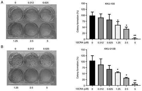 13CRA Inhibits The Self Renewal Ability Of Cholangiocarcinoma Cells