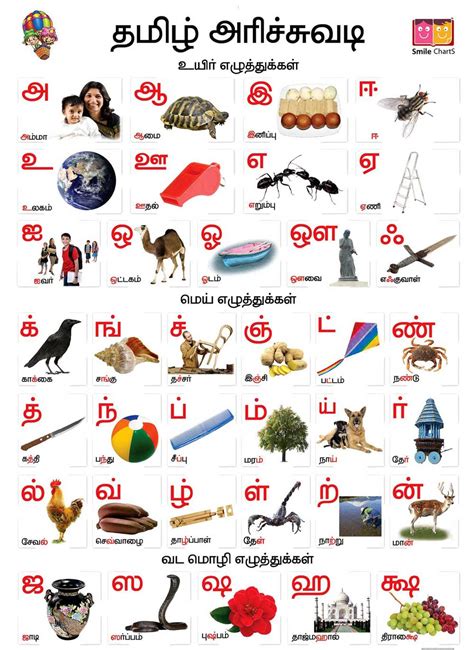 How Many Letters In Tamil Tamil Eluthukkalalphabet