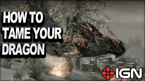 Skyrim dragonborn dlc pc - gtgasw