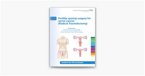 ‎fertility Sparing Surgery For Cervix Cancer Radical Trachelectomy On