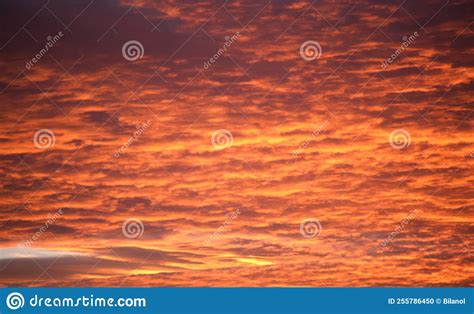 Bright Colorful Sunset Sky With Vivid Smooth Clouds Illuminated With