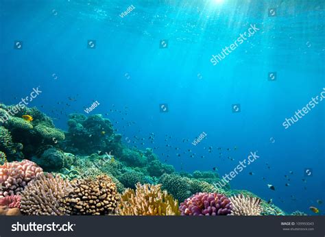 Ocean Underwater Background Image Stock Photo 109993043 : Shutterstock