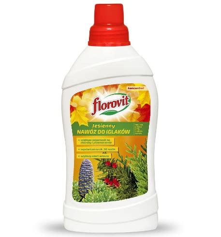 Подкормка туи осенью: чем удобрять туи для роста | qlumba.com