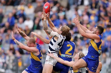 Geelong Cats Vs West Coast Eagles Tips Preview And Live Stream