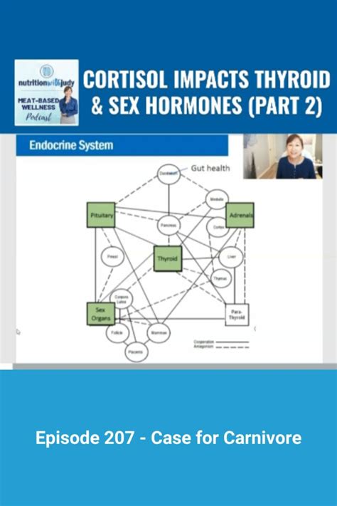 Microblog Cortisol Impacts Thyroid And Sex Hormones Part 2 Nutrition With Judy