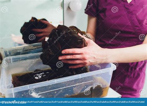 Spa Treatment With Algae Woman On Seaweed Wraps At A Spa Salon