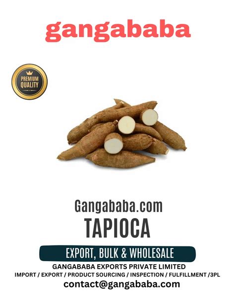 Tapioca At Best Price In Panagudi By Gangababa Exports Private Limited