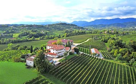 Borgo Antico Prosecco Superiore DOCG extra dry 75cl bottle - Highest ...