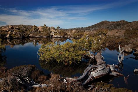 Tarraleah | Things to do on Tasmania's west coast