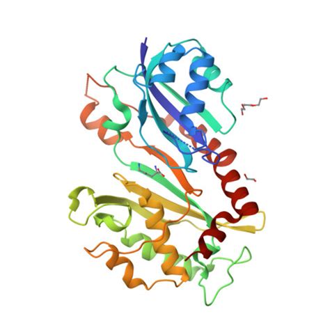 Rcsb Pdb Nz Steroid Receptor Rna Activator Sra Modification By