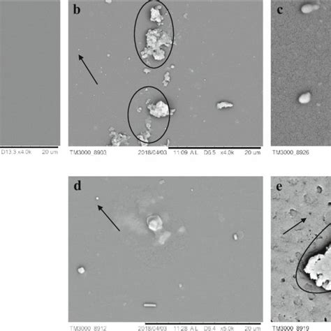 Plate Assay For Lipase And Esterase Activity A B And C Strain With Download Scientific