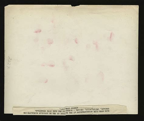 Circa Babe Ruth Underwear In Original Box With Related Promotional Photo REA Archive