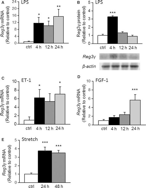 Regulation Of Regenerating Islet Derived Reg Expression In