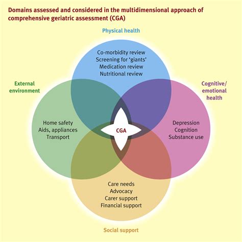 principles  rehabilitation  older people medicine