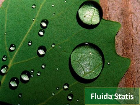 Gambar Fluida Statis Studyhelp