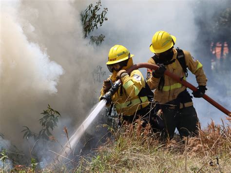 Noticias De Incendios Forestales En Ecuador Temas El Universo