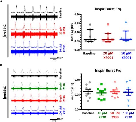 Frontiers Presynaptic Mechanisms And Kcnq Potassium Channels Modulate