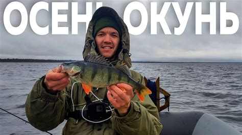 Осенью за окунем. Рыбалка на Ладоге. Ловля окуня на джиг - YouTube