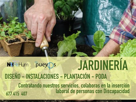 CONTRATA NUESTROS SERVICIOS DE JARDINERÍA