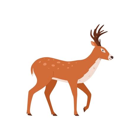 2+ Thousand Cartoon Deer Walking Royalty-Free Images, Stock Photos ...