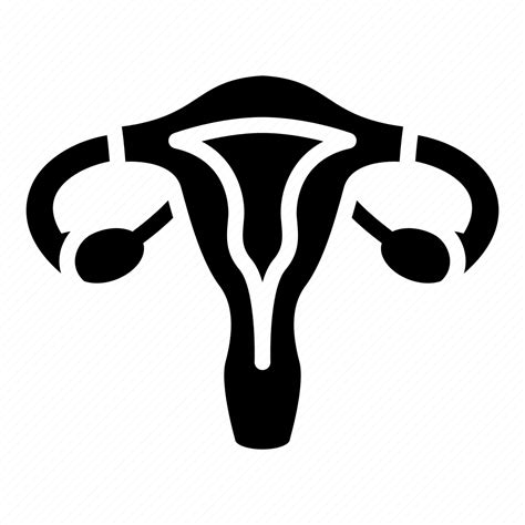 Female Gynecology Organ Organs Uterus Vagina Icon Download On