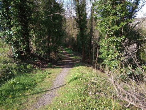 Path Leading To Riverside © Jim Smillie Geograph Britain And Ireland