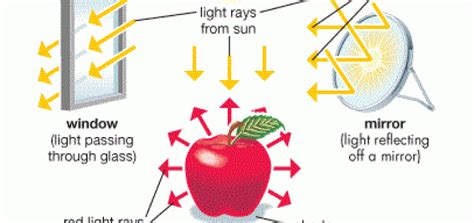 The regular reflection and irregular reflection of light | Science online