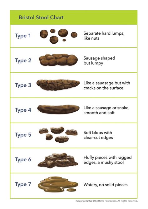 Why Its Important To Check Your Poo And How To Do It Take The Health