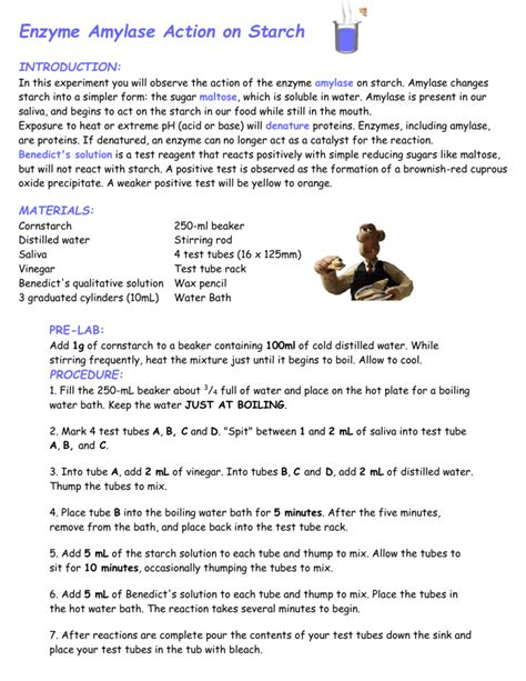 Enzyme Amylase Action on Starch INTRODUCTION