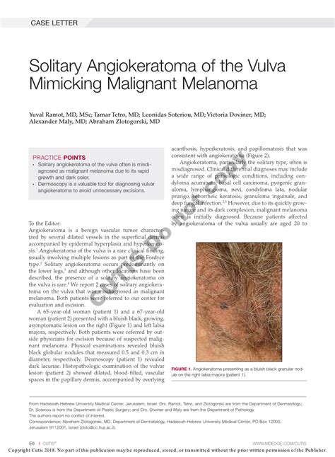 Solitary Angiokeratoma Of The Vulva Mimicking Malignant Melanoma Docslib