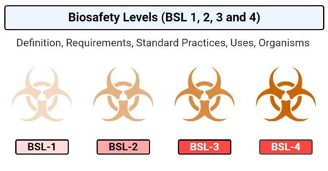 Biosafety Levels BSL 1 BSL 2 BSL 3 And BSL 4 Microbe Notes