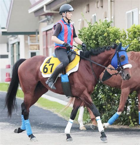 【七夕賞・西山の特注馬】キングズパレスが2度目の重賞挑戦でタイトル奪取のチャンス到来 Umatoku 馬トク