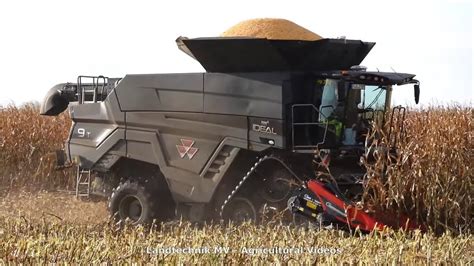 Massey Ferguson John Deere Mais Dreschen Harvesting Maize