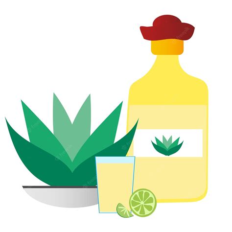 Premium Vector | Cartoon set with bottle of tequila glass agave on