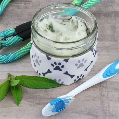 Minty Homemade Dog Toothpaste - Dog Mom Chef