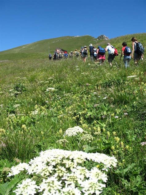 RitornaAl Parco con mamma e papà Quasi 100 escursioni gratuite alla