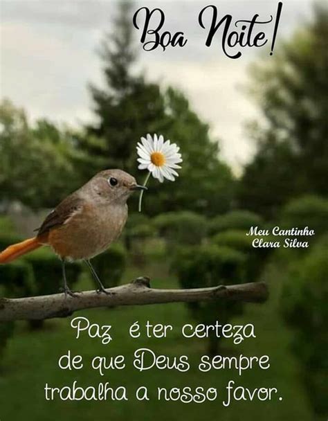 Frases Curtas Boa Noite - 62 Imagens com Frases Curtas de Boa noite para expressar positividade