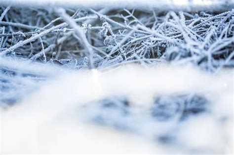 Premium Photo Close Up Of Snowflakes On Field