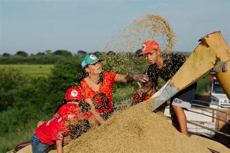 Maior Produtor De Arroz Organico Do Brasil