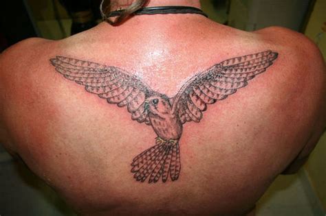 Falcon Tattoos Designs Ideas And Meaning Tattoos For You