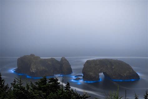 Fot Grafo Captura Brilho Bioluminescente Azul Hipnotizante Na Costa Do