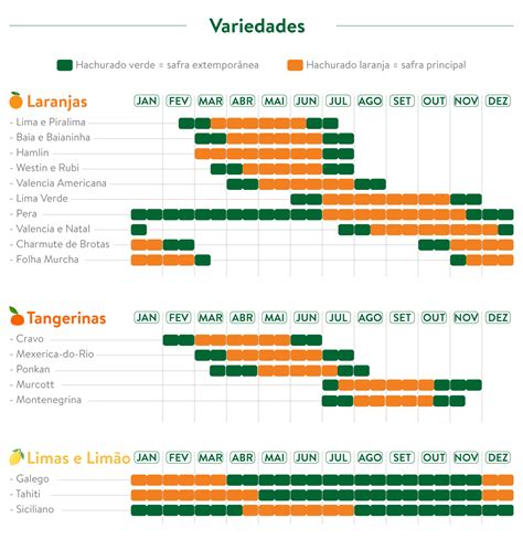 Citrus Camargo Produtos