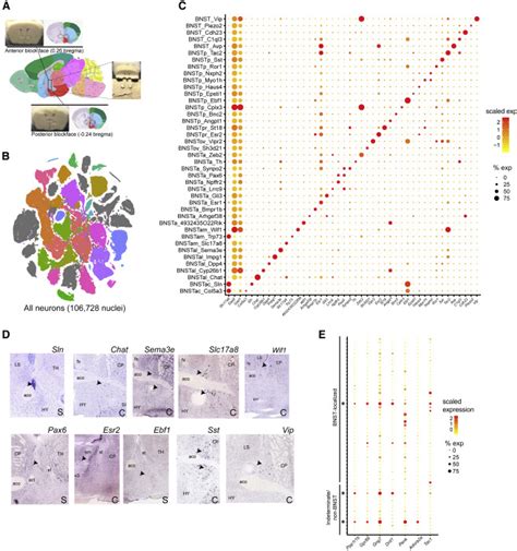 Single Cell Multi Omic Integration Compares And Contrasts Features Of