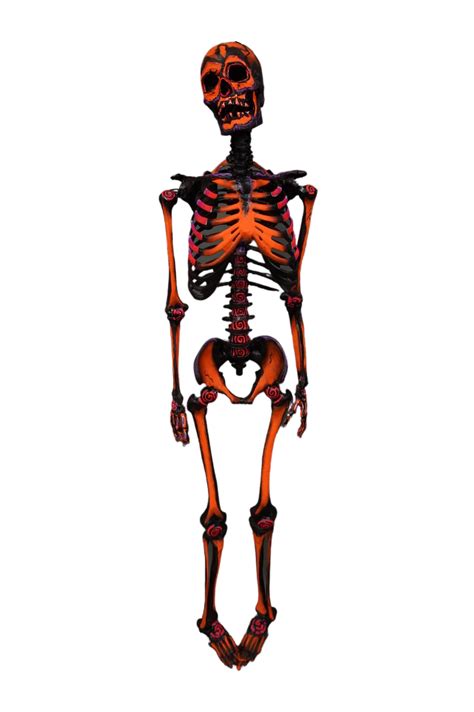 Blacklight Realistic Skeleton Dapper Cadaver Props