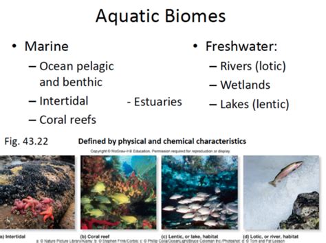 Chapter 15 5 Biomes And The Biosphere Flashcards Quizlet