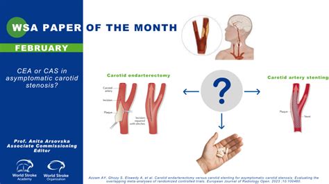 The Paper Of The Month February World Stroke Academy