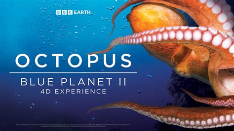 OCTOPUS Blue Planet II 4D Experience